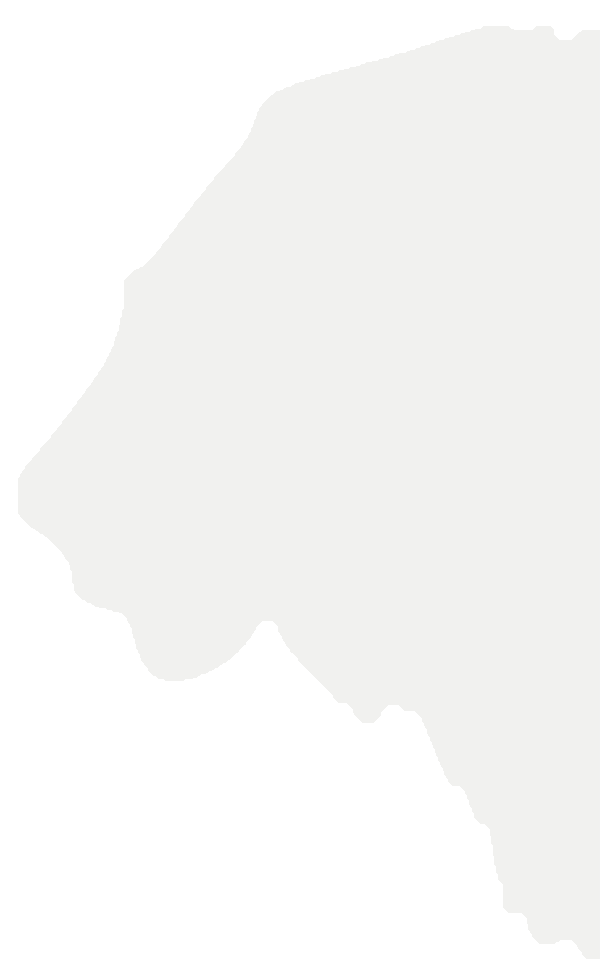 lion bg right